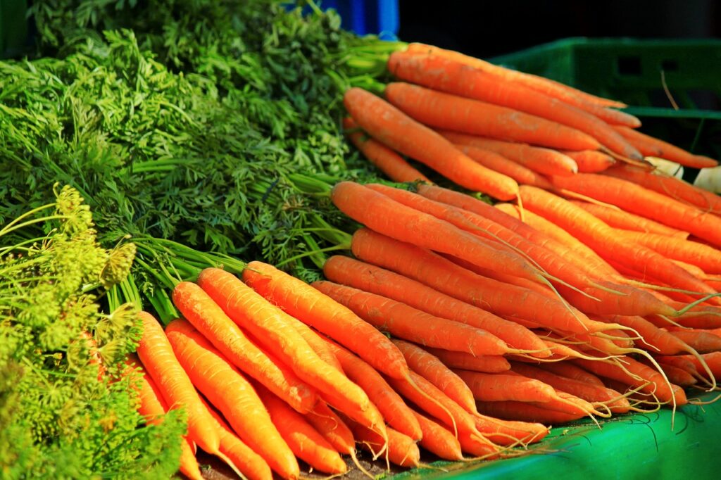 Dürfen Hunde Karotten fressen? Hier erklären dir was du beachten solltest.